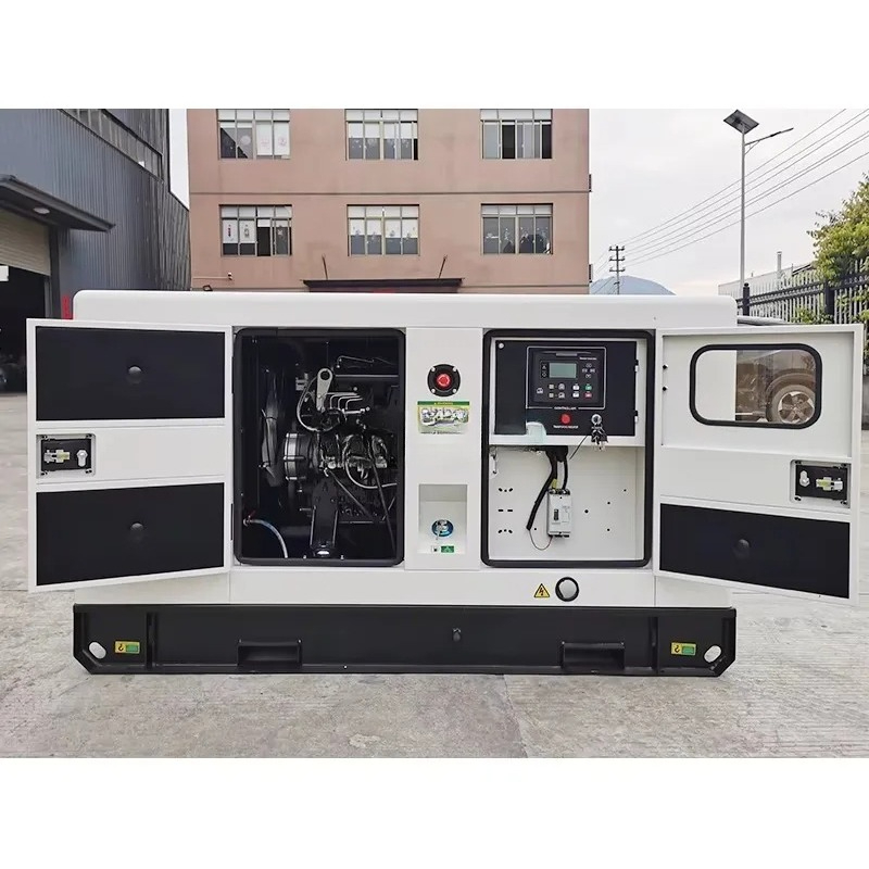 Gruppo Elettrogeno Diesel Sile - Power Tools Manufacturers In China recensione e prezzo